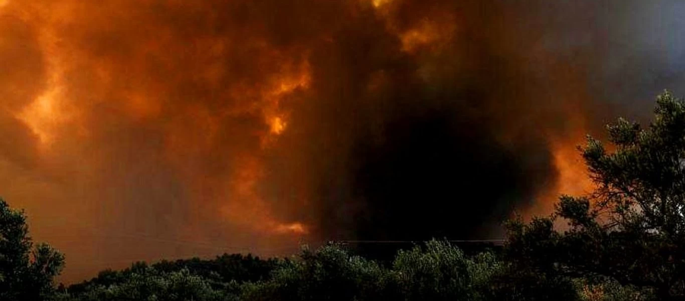 Πυρκαγιά λίγο έξω από τη Θεσσαλονίκη - Παραλίγο να επεκταθεί σε εργοστάσιο μεταλλικών κατασκευών (βίντεο-φωτο)